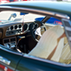 Illustration for article titled Cars Coffee - Longmont, CO - 8 June 2019